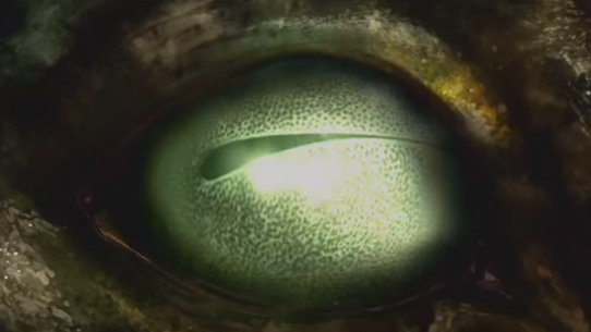 Fichier:CF - Bulkhead Banter (sentient life).jpg