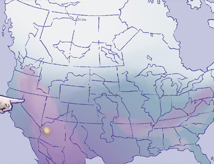 Fichier:ESC7 URNA.jpg