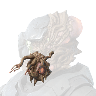 Fichier:HINF S5 Cursed Blisters attachment.png