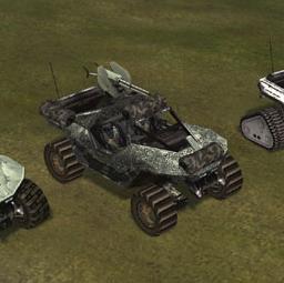 Fichier:Warthog jungle.jpg