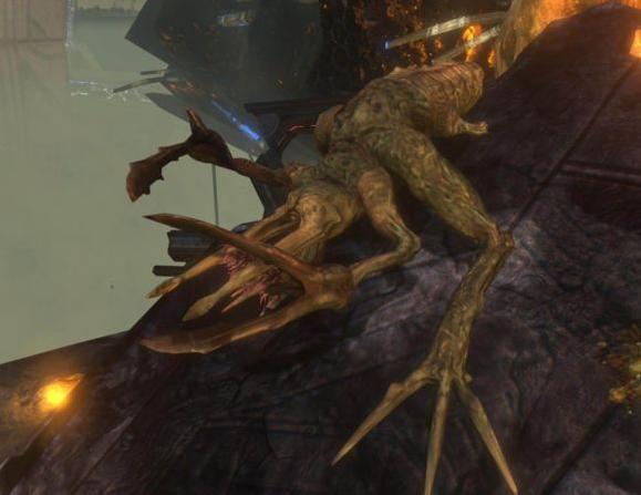 Fichier:H3-Forme traqueuse.jpg