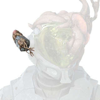 Fichier:HINF S5 Defiled Farndale attachment.png