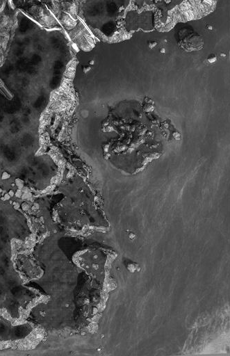 Fichier:HR-Forge World (Heatmap).png