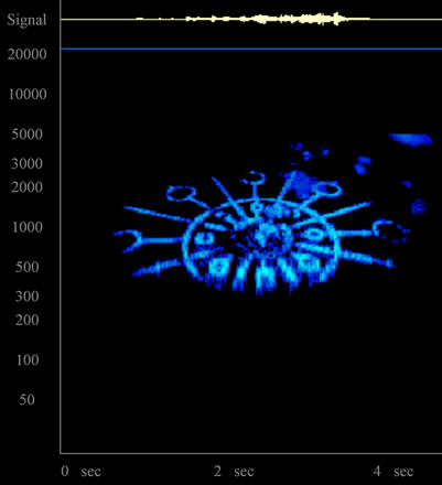 Fichier:Iris 719hz spectrogram.jpg