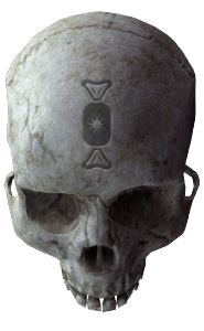 HCEA crâne Pinata.png