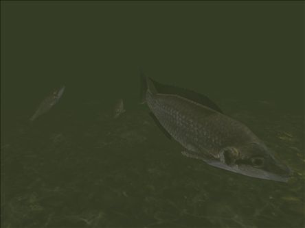 Fichier:Fish (Voi).jpg