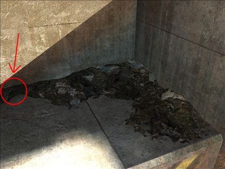 Fichier:H3-Altitude (easter egg phacochère 01).jpg