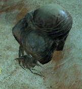 Fichier:HW - Bombardier 01.png