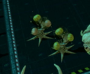 HW-Grappe de Parasites 02.png