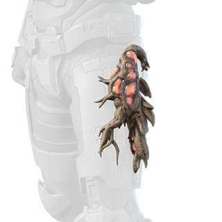 Fichier:HINF S5 Cursed Growths utility.png