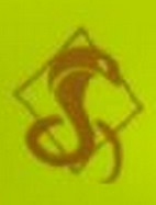 Fichier:Fireteam Venom Emblem.jpg