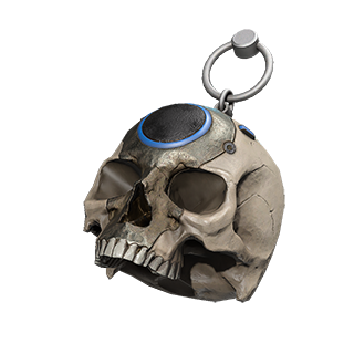 Fichier:HINF Skull charm.png
