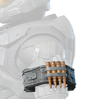 Fichier:HINF S1 SAP SNP left shoulder.png