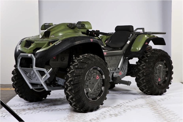 Fichier:Mangouste réelle.jpg