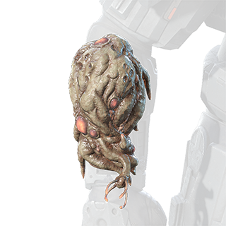 Fichier:HINF S5 Defiled Touch wrist.png