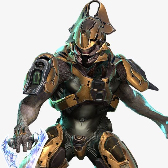 Fichier:TMCC Avatar Guerrier élite.jpg