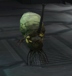 Fichier:HCE-Forme d'infection.jpg