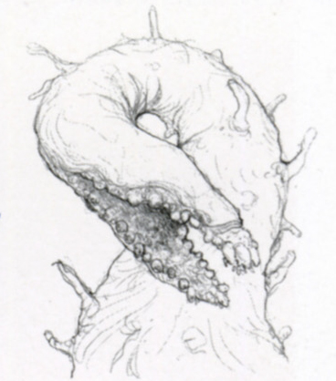 Fichier:H2-Fossoyeur concept Robt McLees 04.jpg