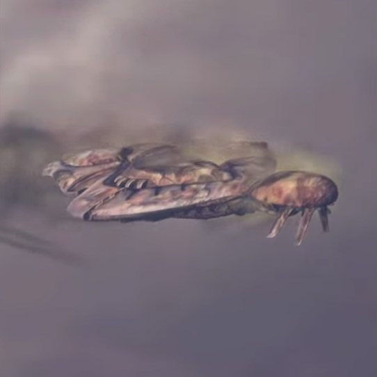 Fichier:H3-Indulgence of Conviction (Way square).jpg