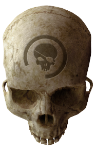 HCEA crâne Borgne.png