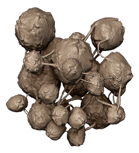 Fichier:H2A Flood spore (render).png