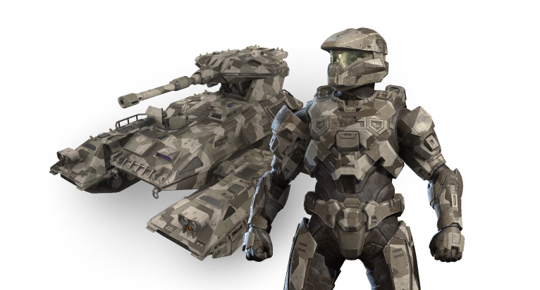 Fichier:HINF-Splinter Desert bundle (render).png