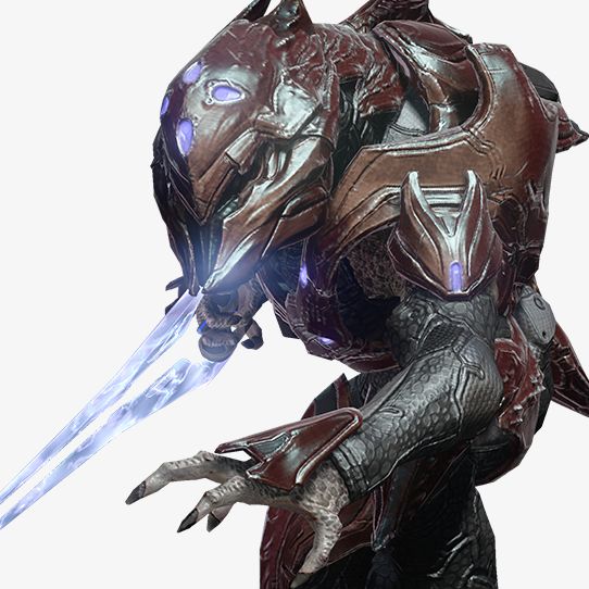 Fichier:TMCC Avatar Dévot élite.jpg