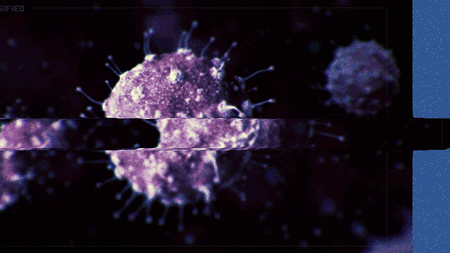 Fichier:HTS Halsey cellule 2.gif