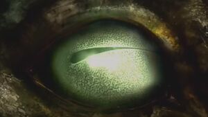 CF - Bulkhead Banter (sentient life).jpg