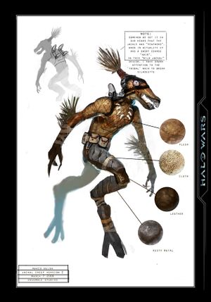 HW Rapace sauvage concept 1.jpg