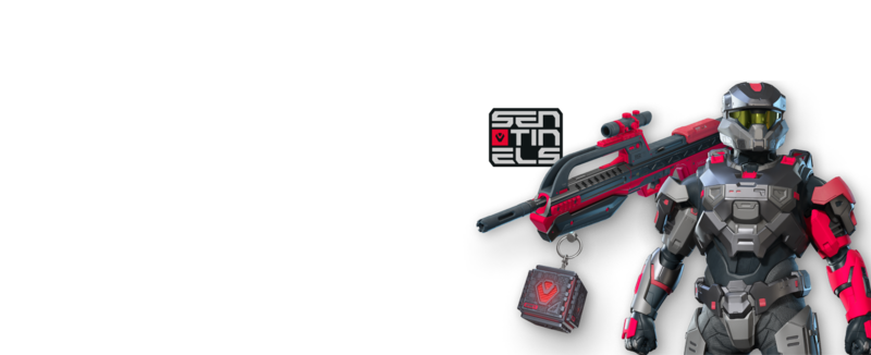 Fichier:HINF-Sentinels Playoff bundle (render).png