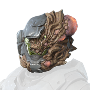 HINF S5 Contaminator helmet.png