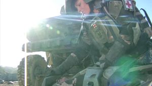 Landfall-R. Coney.jpg