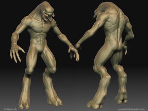 Titan elite zb Sallenbach.JPG