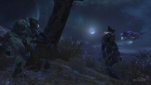 HR-Nightfall 02 (Sneak).jpg