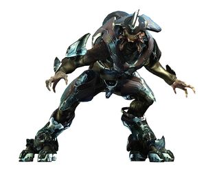 H4 Sangheili Commander 08.jpg