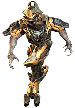 H4 Sangheili Warrior 06.jpg