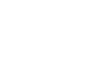 HINF S1 Critical Path backdrop.png