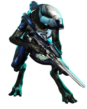 H4Jackalranger04.jpg