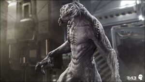 H2A-Arbiter 04 (Mathieu Aerni).jpg