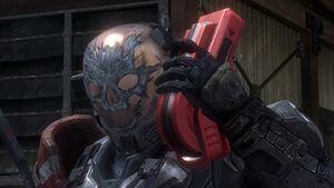 Emile reach+balise.jpg