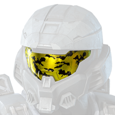 Lancement de Navi deuxième année