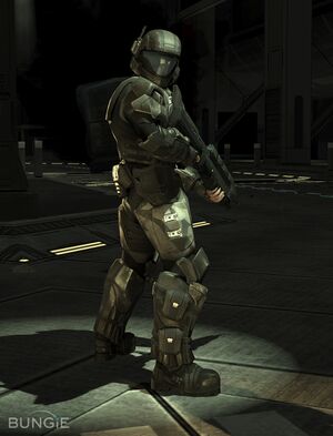 HODST-Buck 01.jpg