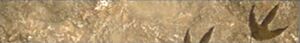 TMCC Nameplate Moah.jpg