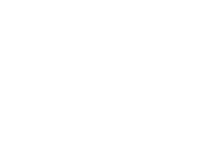 HINF S3 Denial Protocol backdrop.png