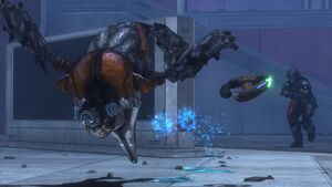 HODST Grunt headshot.jpg