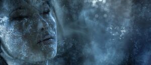 HW-Ellen Anders cryo.jpg