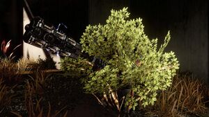 HB2013 n44-Best Camo by POETEPOET.jpg