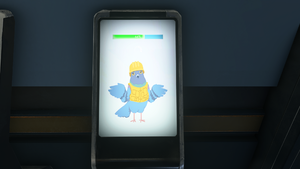 HINF-Image pigeon Streets 01.png