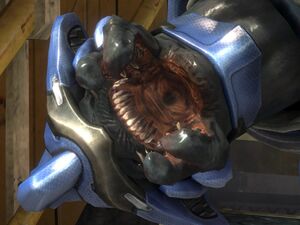 HB 03-08-2011 HR Elite mouth.jpg